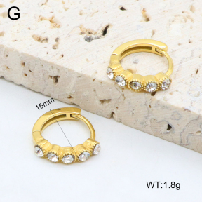 2E4004627ahjb-226  Stainless Steel Earrings