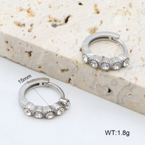 2E4004628vhha-226  Stainless Steel Earrings