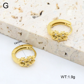 2E4004629bhia-226  Stainless Steel Earrings