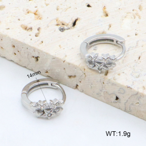 2E4004630bhva-226  Stainless Steel Earrings