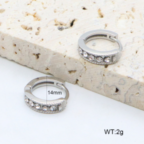 2E4004632vhha-226  Stainless Steel Earrings