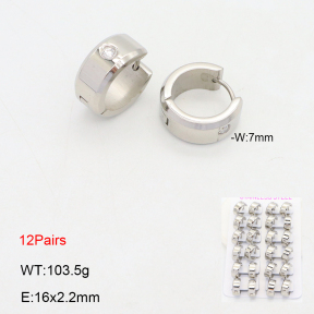 2E4004634alka-387  Stainless Steel Earrings