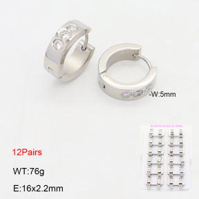 2E4004635amaa-387  Stainless Steel Earrings