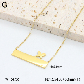 2N2007207aakl-452  Stainless Steel Necklace