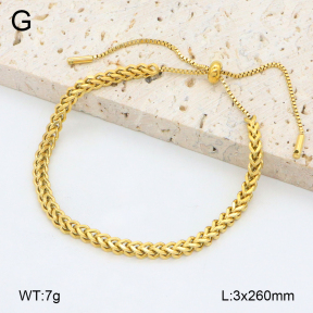 2B2004820vbpb-746  Stainless Steel Bracelet