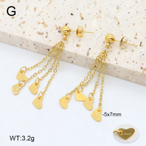 2E2006424vbnb-350  Stainless Steel Earrings