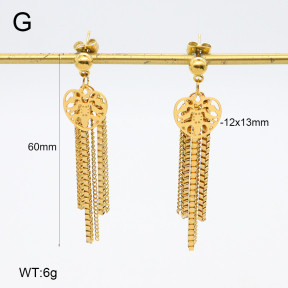 2E2006425vbnb-350  Stainless Steel Earrings