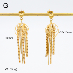 2E2006427vbnb-350  Stainless Steel Earrings