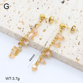 2E4004637vbnb-350  Stainless Steel Earrings