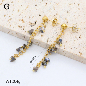 2E4004638vbnb-350  Stainless Steel Earrings