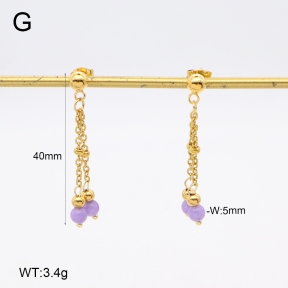 2E4004639vbmb-350  Stainless Steel Earrings