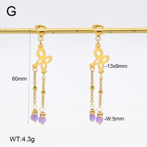 2E4004641vbnb-350  Stainless Steel Earrings