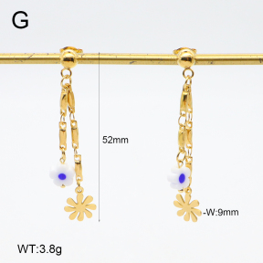 2E4004645vbnb-350  Stainless Steel Earrings