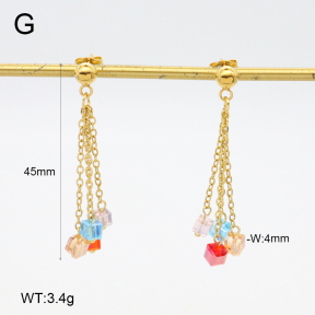 2E4004646vbnb-350  Stainless Steel Earrings