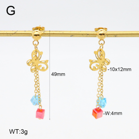 2E4004649vbnb-350  Stainless Steel Earrings