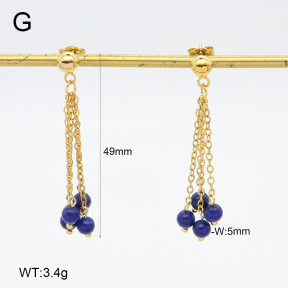 2E4004650vbnb-350  Stainless Steel Earrings