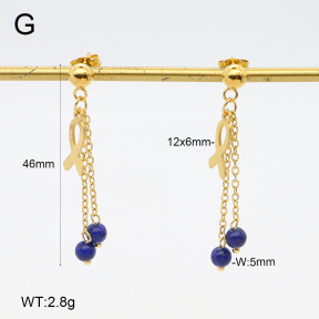 2E4004652vbnb-350  Stainless Steel Earrings