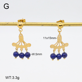 2E4004653vbnb-350  Stainless Steel Earrings