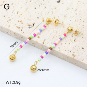 2E4004654vbnb-350  Stainless Steel Earrings