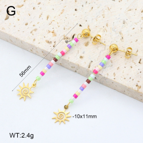 2E4004655vbnb-350  Stainless Steel Earrings