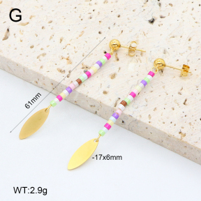 2E4004657vbnb-350  Stainless Steel Earrings