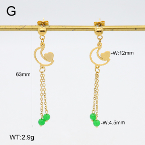 2E4004659vbnb-350  Stainless Steel Earrings