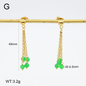 2E4004660vbnb-350  Stainless Steel Earrings