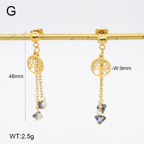 2E4004661vbnb-350  Stainless Steel Earrings