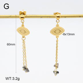 2E4004662vbnb-350  Stainless Steel Earrings