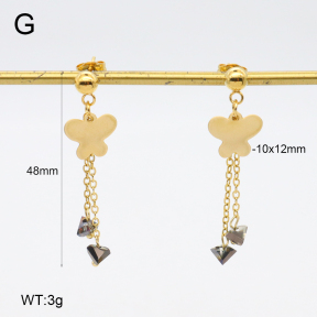 2E4004664vbnb-350  Stainless Steel Earrings