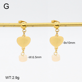 2E4004666vbll-350  Stainless Steel Earrings