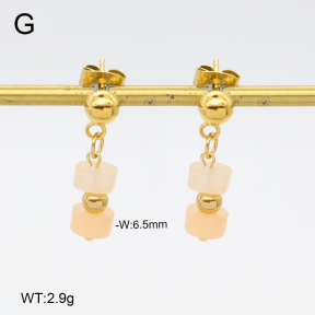 2E4004669vbll-350  Stainless Steel Earrings