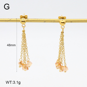 2E4004670vbnb-350  Stainless Steel Earrings