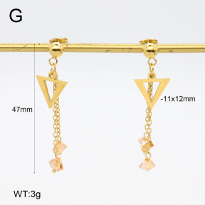 2E4004672vbnb-350  Stainless Steel Earrings