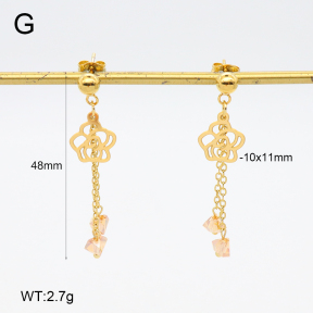 2E4004673vbnb-350  Stainless Steel Earrings