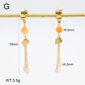 2E4004674vbnb-350  Stainless Steel Earrings