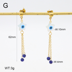 2E4004675vhha-350  Stainless Steel Earrings