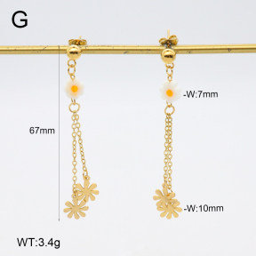 2E4004677bbov-350  Stainless Steel Earrings