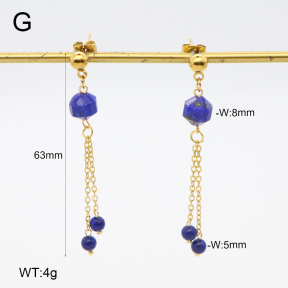 2E4004679vbnb-350  Stainless Steel Earrings