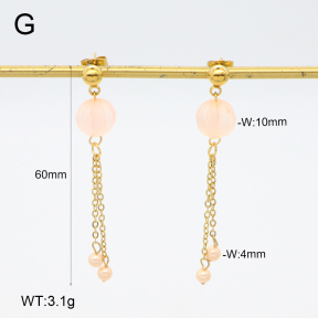 2E4004680vbnb-350  Stainless Steel Earrings