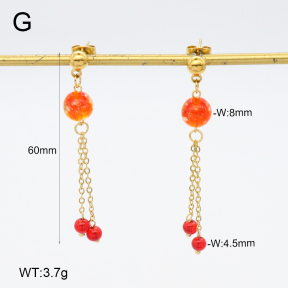 2E4004681vbnb-350  Stainless Steel Earrings