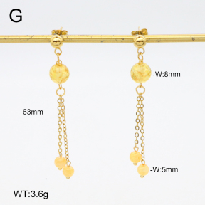 2E4004682vbnb-350  Stainless Steel Earrings