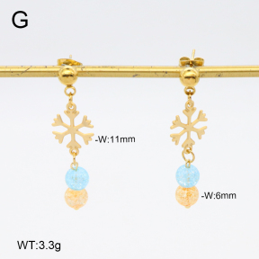 2E4004683vbmb-350  Stainless Steel Earrings