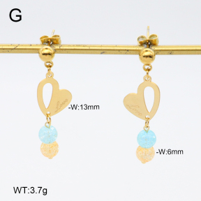 2E4004684vbmb-350  Stainless Steel Earrings