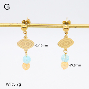 2E4004687vbmb-350  Stainless Steel Earrings