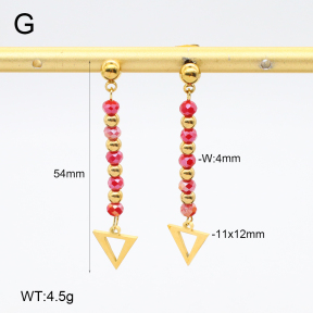 2E4004688vbnb-350  Stainless Steel Earrings