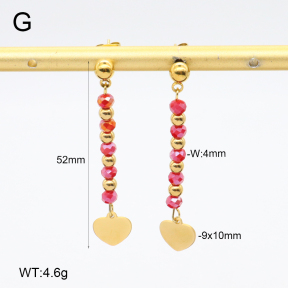 2E4004690vbnb-350  Stainless Steel Earrings