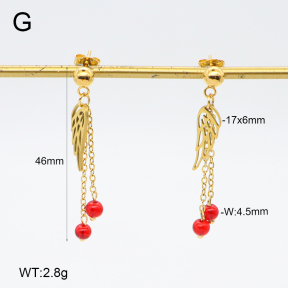 2E4004692vbnb-350  Stainless Steel Earrings