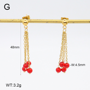 2E4004694vbnb-350  Stainless Steel Earrings