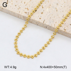 2N2007275bvpl-746  Stainless Steel Necklace